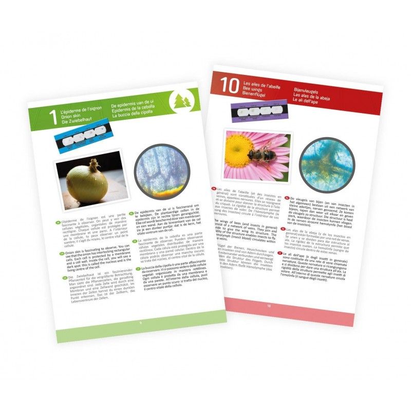 Microscope 15 experiences Buki