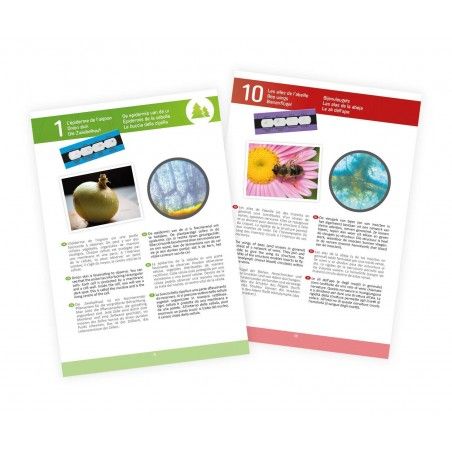 Microscope 15 experiences Buki