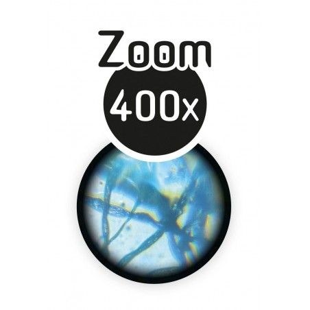 Microscope 15 experiences Buki