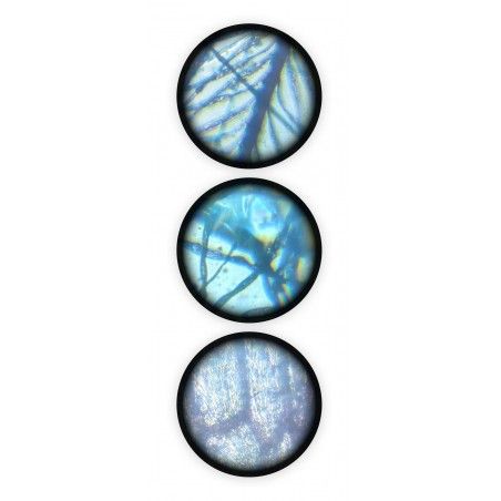 Microscope 15 experiences Buki