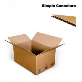 Carton Simple Cannelure...