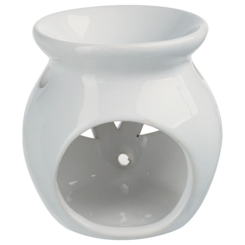 Diffuseur Brule Parfum + 12 Extraits De Parfum