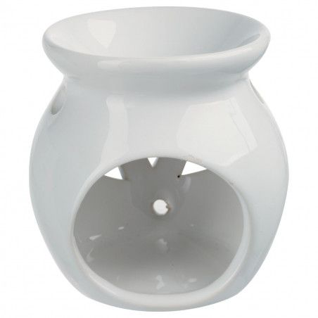 Diffuseur Brule Parfum + 12 Extraits De Parfum