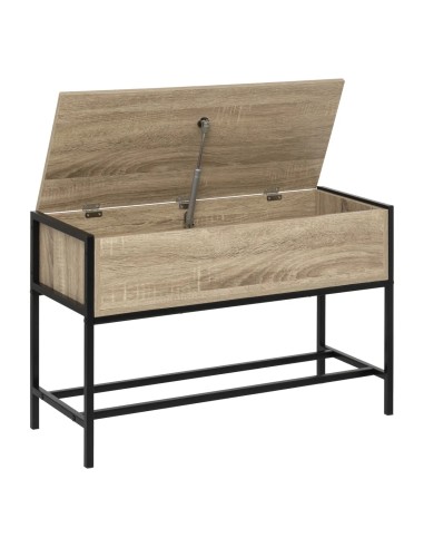 Range Chaussures Coffre Aliaj 4 Paires Noir Five