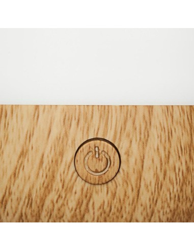 Diffuseur D'huiles Essentielles Avec Chargeur USB Blanc Atmosphera