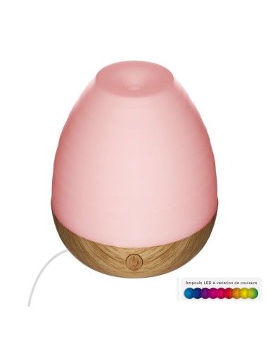 Diffuseur D'huiles Essentielles Avec Chargeur USB Blanc Atmosphera