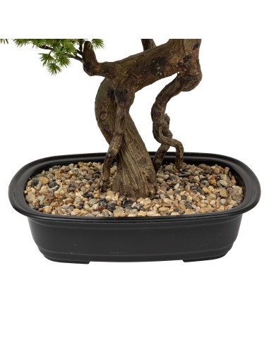 Bonsaï Artificiel En Pot Céramique Polin Atmosphera