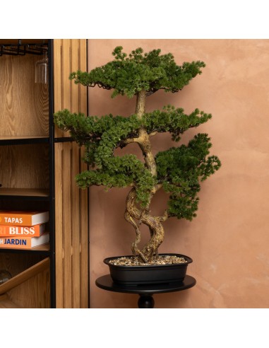 Bonsaï Artificiel En Pot Céramique Polin Atmosphera