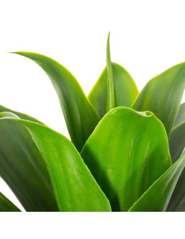 Plante Aloe Vera Artificiel Inora Atmosphera