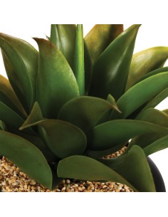 Aloe Vera Artificiel Avec Pot Céramique Noir Atmosphera 2