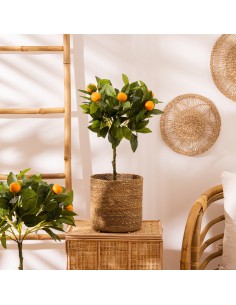 Lot De 4 Paniers En Seagrass Marron Atmosphera 2