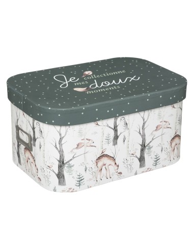 Lot de 3 boîtes de rangement Enfant Forêt Vert Atmosphera For Kids