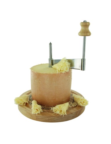 Racloir Fromage Avec Cloche Cook Concept