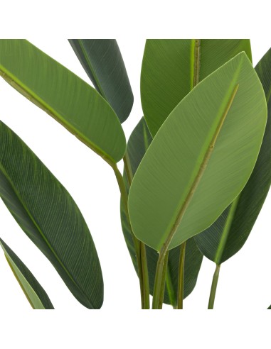 Plante Artificiel Strelitzia En Pot H97 Atmosphera