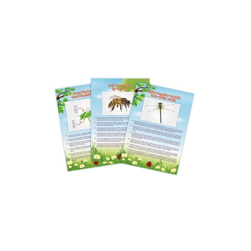 Jeu De Découvrir - Aspirateur D'insectes - Buki