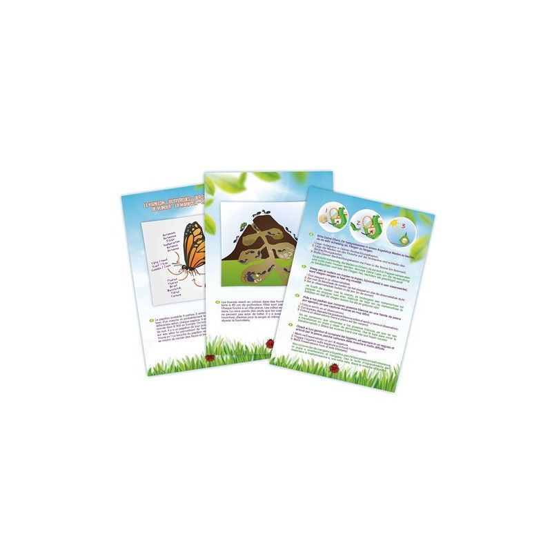 Jeu De Découvrir - Explorateur D'insectes - Buki