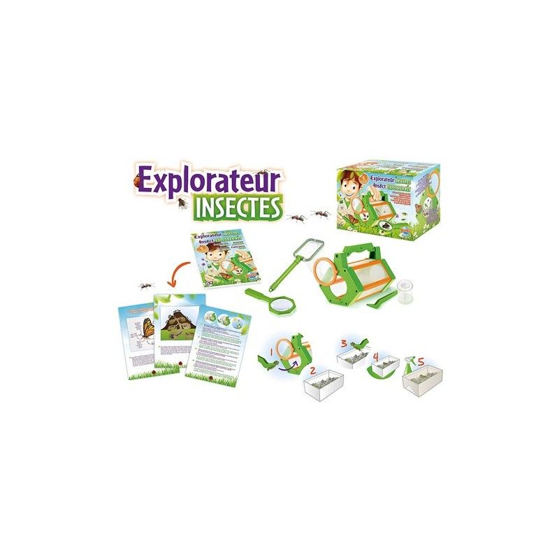 Jeu De Découvrir - Explorateur D'insectes - Buki