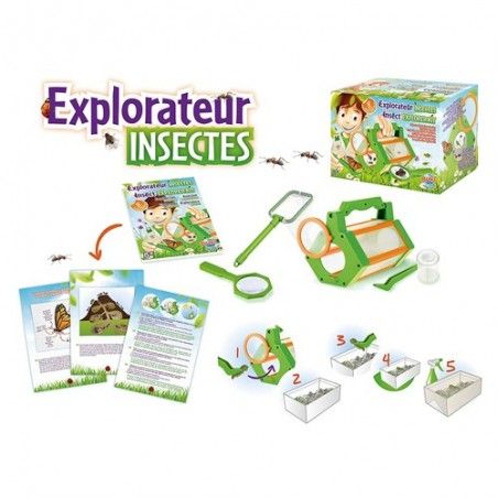 Jeu De Découvrir - Explorateur D'insectes - Buki
