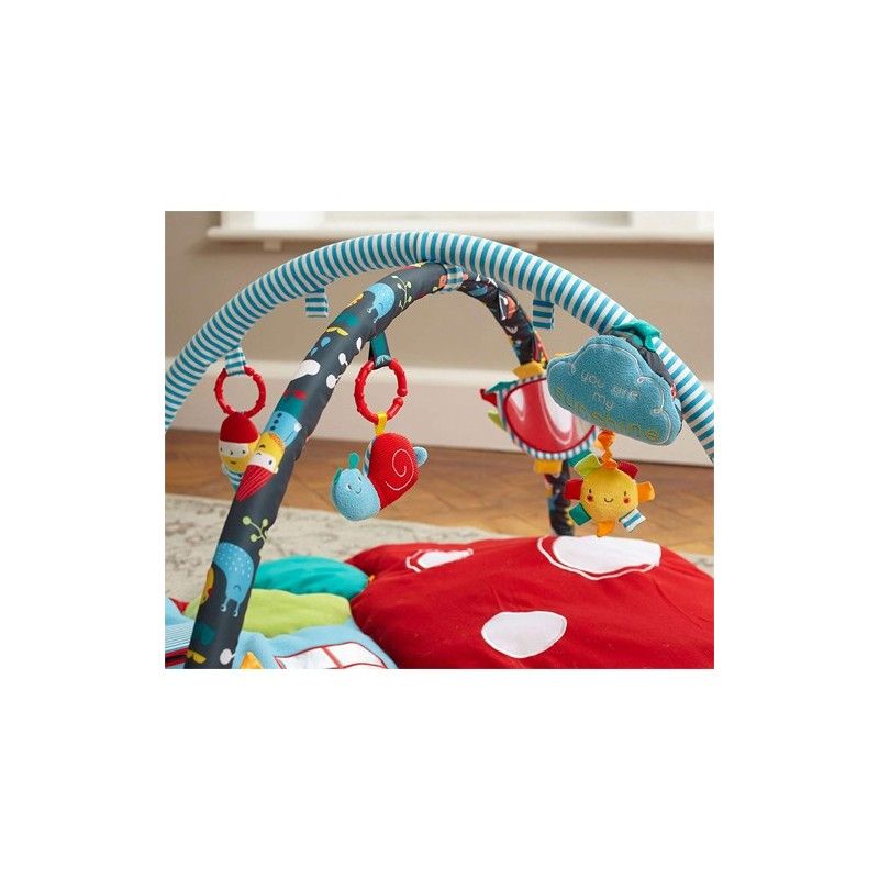 Tapis D'activités Bébé Little Bird Told Me