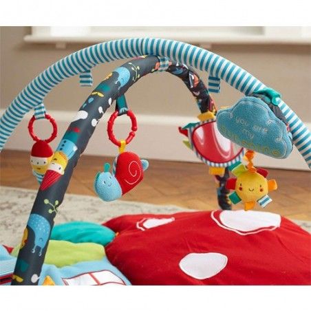 Tapis D'activités Bébé Little Bird Told Me